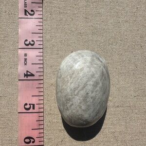 White Moonstone Palm